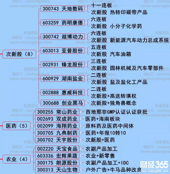 漲停個股分析