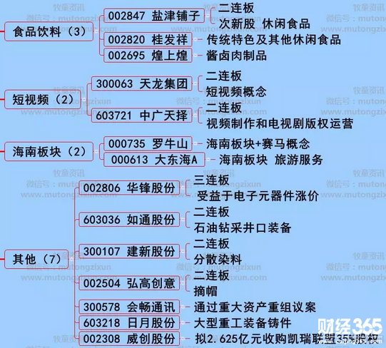 漲停個股分析