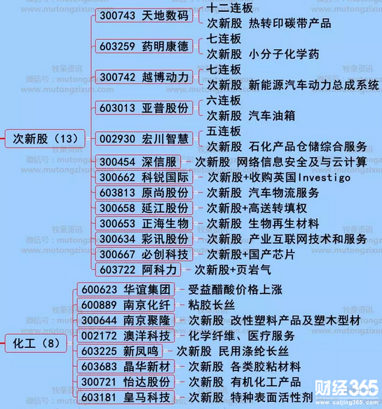 漲停個股分析