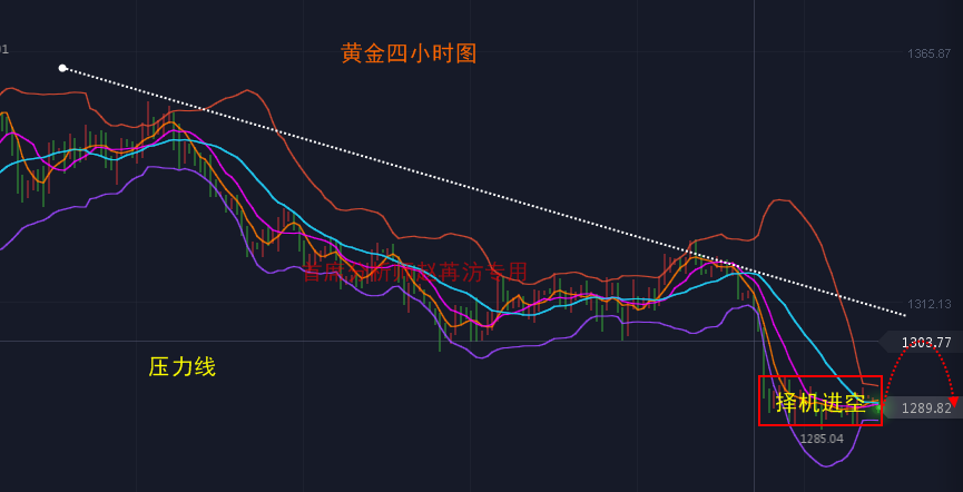 趙苒汸：5.21黃金見底機率小，新低接踵而來，多單被套怕不怕？