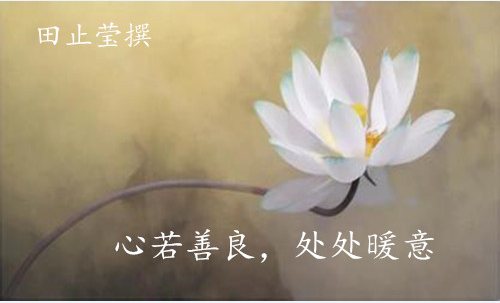 田止瑩5.23洞若觀火方能在震蕩中迎來柳暗花明，周三黃金走勢分析