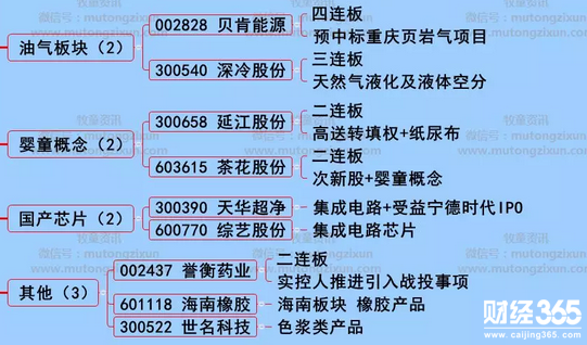 股海牧童漲停個股分析