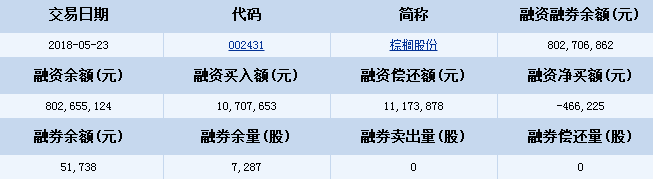 棕櫚園林股票