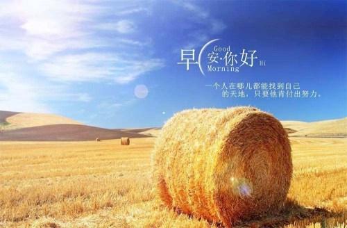 靳宏?yáng)|5.31千折百轉(zhuǎn)將戰(zhàn)收官之日，黃金震蕩局何解?早間操作策略布局