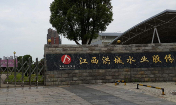 洪城水業股票交易代碼是多少？洪城水業公司如
