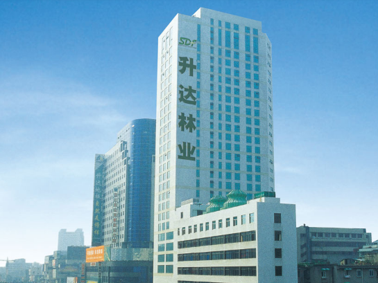 升達林業股票：關于深圳證券交易所對公司問詢