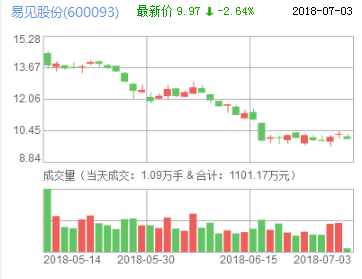 易見(jiàn)股份