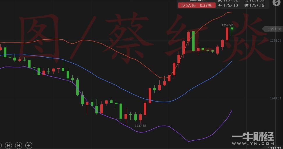 蔡紅焱7.4：昨日黃金1239完美抄底！今日繼續加倉！