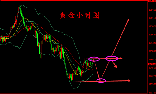 朱彘羽：7.13黃金周線收官，日內漲跌關注1248一線！