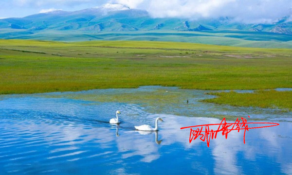 風(fēng)景.jpg