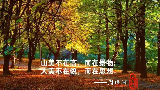 周瑾珂：8.7美元一枝獨秀！外匯黃金1200關口或面臨考驗