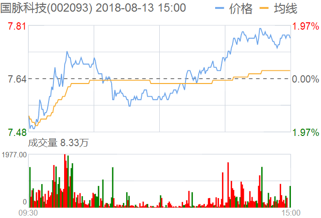 國脈科技股票