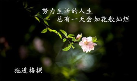 施進格：8.20黃金反彈一蹴而就，空頭止跌反彈上行