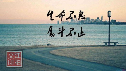 江柏文：8.20周一黃金保持漲勢做多機會來臨？日內操作建議