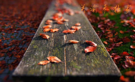1212_副本.jpg