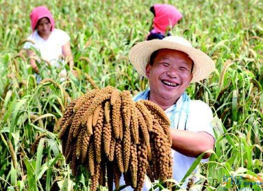 農民豐收節
