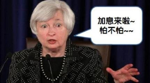 金析妍：9.26加息來了，炒黃金你還在怕做反方向