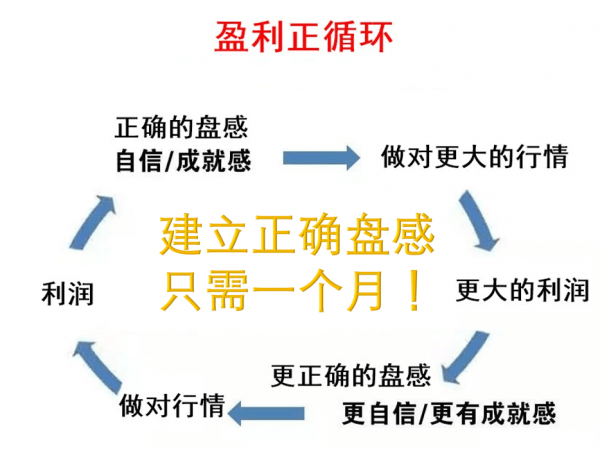 盈利.jpg