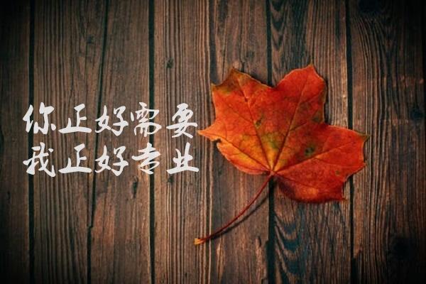 你需要，我專業(yè).jpg