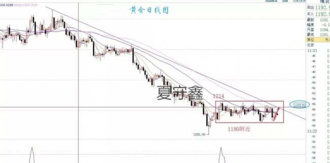 夏守鑫：股市避險助推黃金，重點關注1206一線阻力！