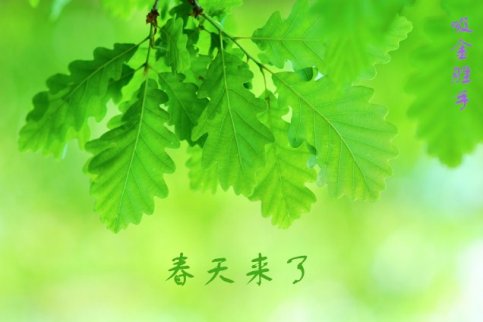 吸金勝手:國際黃金利好不斷倫敦金的春天來了