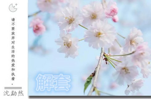 沈勐然：10.17黃金日內(nèi)震蕩收底放緩 原油反彈現(xiàn)價空！