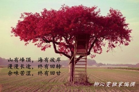 10.17黃金操作建議，特朗普再噴美聯儲，黃金上行動力減弱