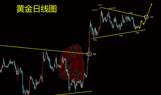 林易兮：黃金震蕩修正后市必漲，虧損回本，你的風險我來把控