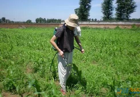 草甘膦概念股2