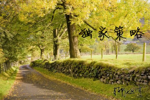 11.2非農重磅來襲，黃金走勢分析及行情預測