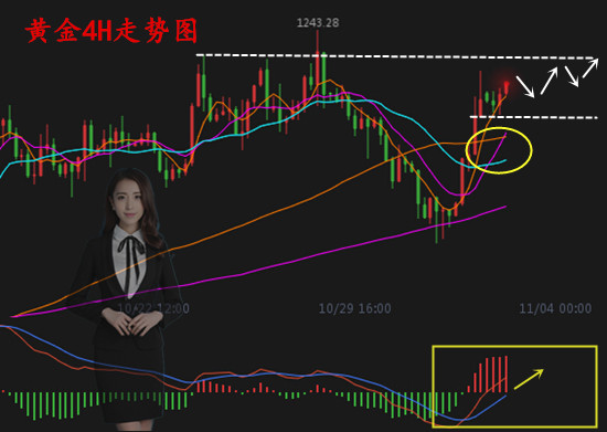 11.2分析.jpg