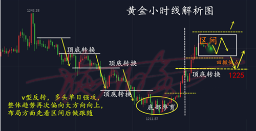 11.3黃金.png