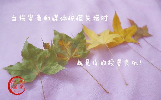 趙禹諾：11.5非農無益美中期選舉在即 黃金走勢分析操作建議