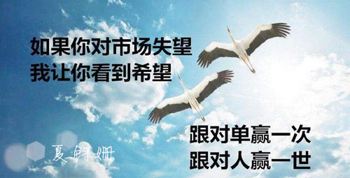 投資456.jpg