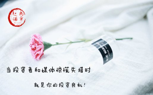 趙禹諾：11.6市場靜待中期選舉 黃金走勢分析及操作策略