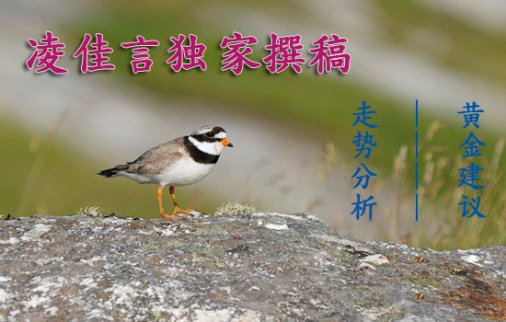 黃金走勢分析：11.12周線大陰黃金空頭強(qiáng)勢不改，日內(nèi)黃金需關(guān)注此位置做空！
