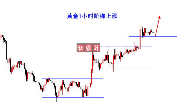 黃金1小時.png