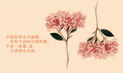 信任，真誠(chéng).jpg