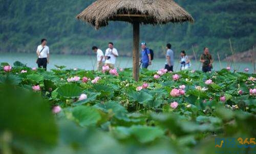 鄉村旅游