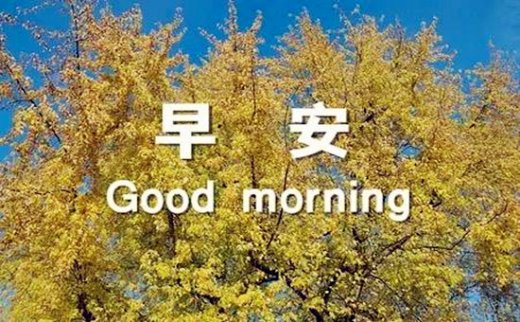 11.28早間黃金走勢分析操作建議，單子被套怎么辦？