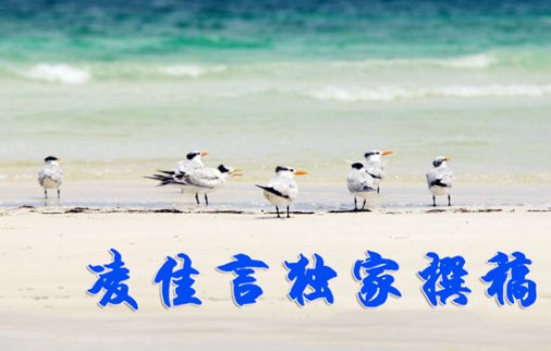 12.21黃金探高會否有回調可能？單邊上漲你離爆倉有多遠？