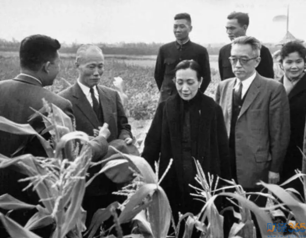 陳誠、宋美齡、胡適視察農田，1953年，中國臺灣