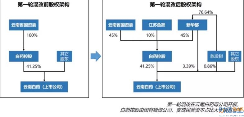 個股分析-云南白藥