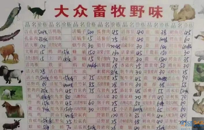 野味