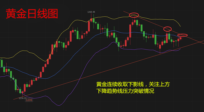 d3f436cb96cfe69b160bebf30453030_副本.jpg