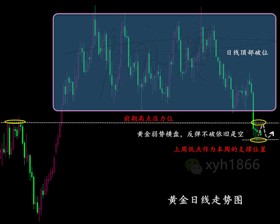 肖亦寒：5.22美財長引爆美元漲勢黃金逆轉，黃金早間行情解析