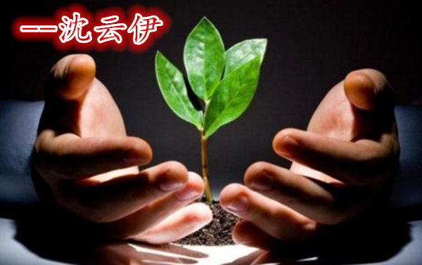 沈云伊：5.16黃金1295之上多單如何處理？千三關(guān)口新壓制！
