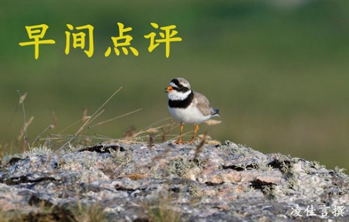 凌佳言：10.24黃金暴漲暴跌是何原因？今日黃金能否再次上漲破