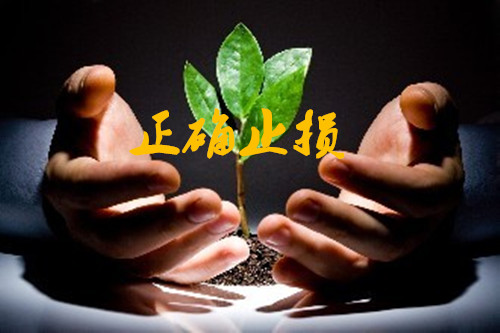 今日黃金走勢圖